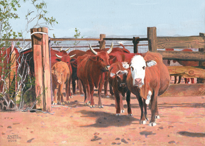 The Cattle at Square Tank