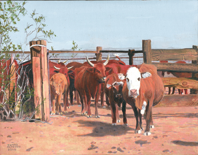 Cattle at Square Tank