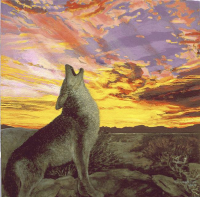 Coyote Sunset